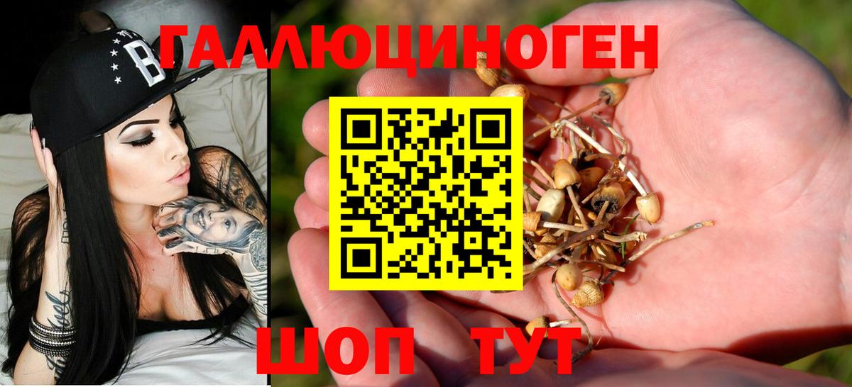 Псилоцибиновые грибы ЛСД Новоалександровск